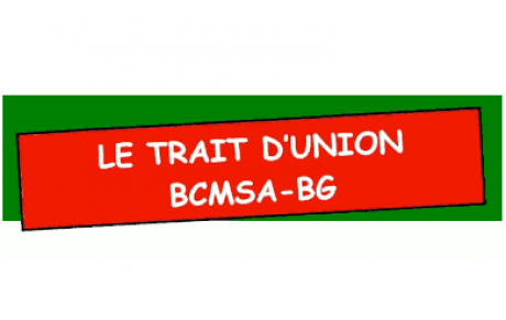 Les archives du Club